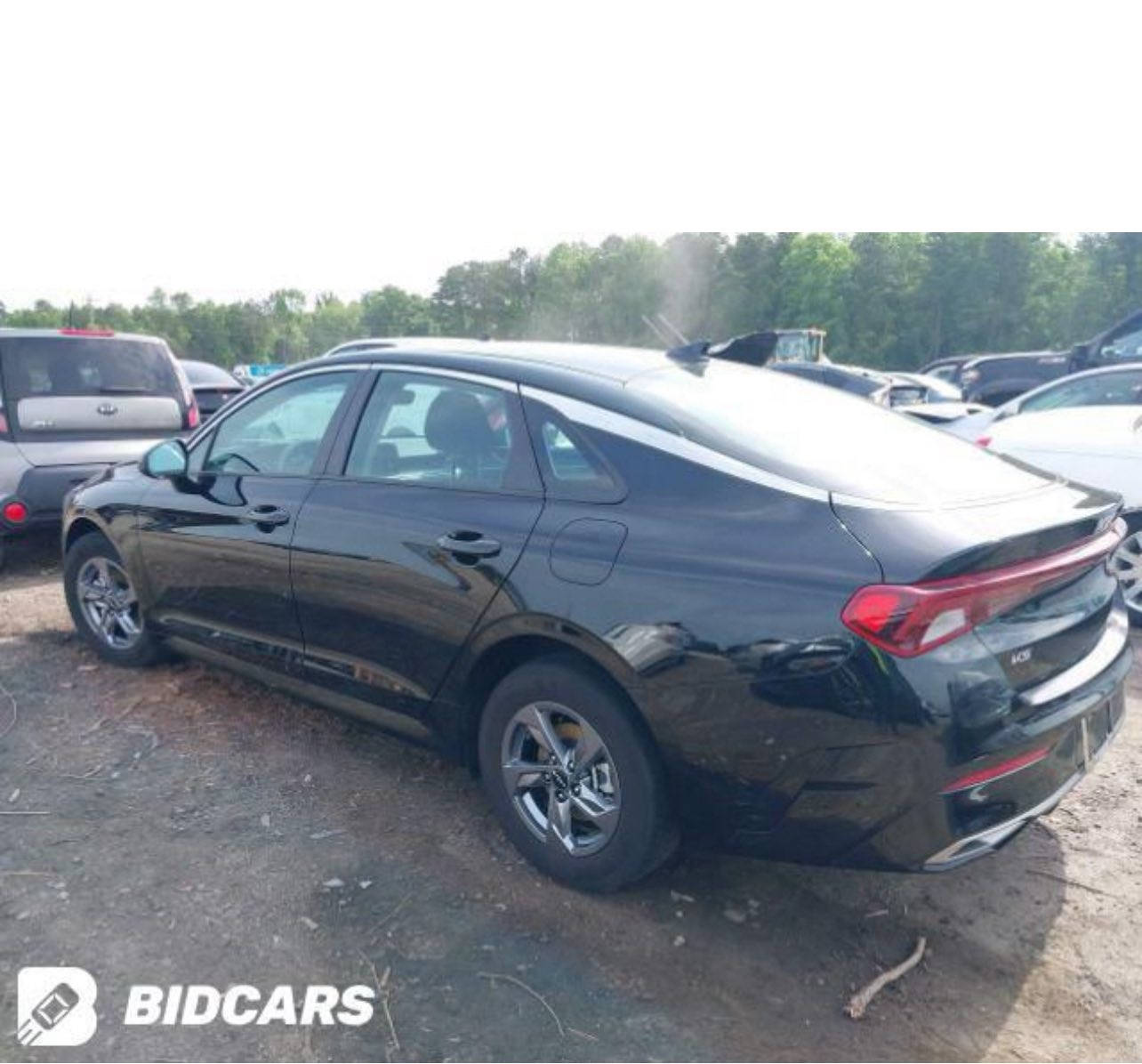 للبيع K5
رقم بـغدلد معوقين 
وكاله اي وقت جاهـزه
موديل 2023
بچـم گبس 
جنطـه كبس 
سياره جديده 
بدون تبديل 
ليبل واحد 
تعمير ابوا ب
السياره فول 
بدون بنراما 
الحادث مرفق 
سياره جديده جاهزه 
خير من الله 
مكينه وگير جاهزه 
حداديه تخم تايره 
السياره وظع الشركه
للستفسار 
***********
