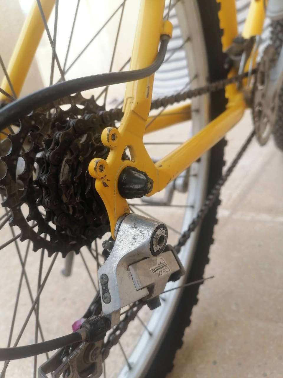 جينت أمريكي حجم ٢٦ بحالة الوكالة


**إذا كنت صاحب هذا الإعلان وتريد حذفه لأي سبب، رجاءا أرسل رسالة إلى الدعم الفني**