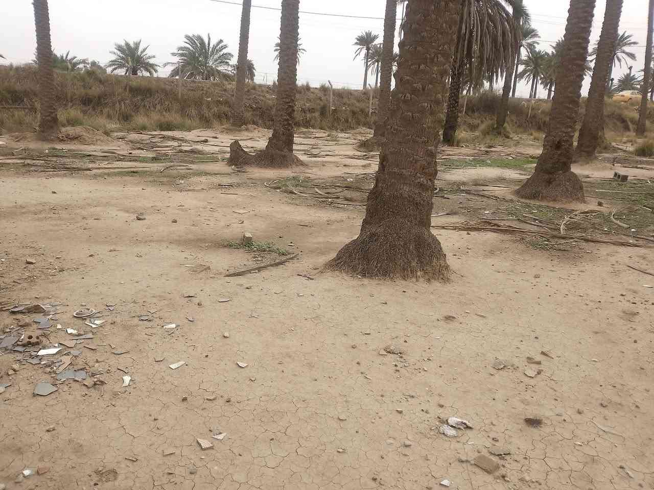 رجااً مو شراي لاتعامل سلام عليكم قطعه ارض ٥٥٠ متر ملك طابو زراعي سند ٢٥ ماء كهرباء موجود  
مكان القطعه يم الجسر الفرنسي مال حي البتول بشارع حديقه الحيوانات  وي الشارع مباشر  سعر 60 مليون 

تواصل ***********
