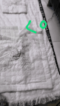 جرشف نظيف للبيع الاتصال على الرقم/07723558428