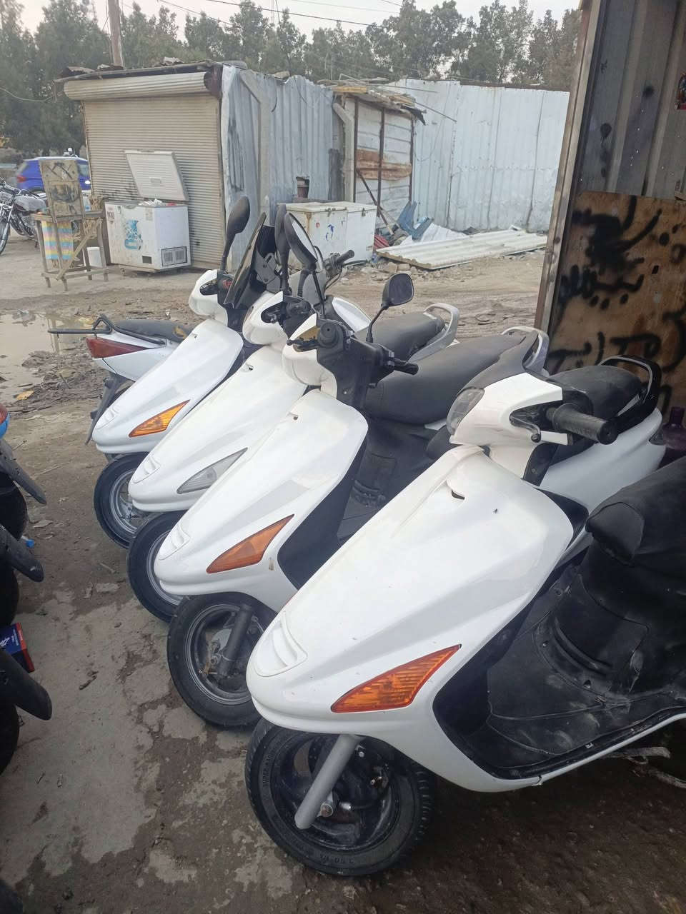 الهم صلي وسلم على نبينا محمد وعلى اله وصحبه وسلم 
وصلت وجبه جديده فراشه باله شرط الكفالة 
اسعار جملة ويوجد نظام اقصاط للموظفين والمتقاعدين حاملي ماستر كارد الرافدين حصرا وبدون مقدمه 
ويوجد جملة ومفرد 
عنوان حله جسر الهنود شارع الوكفة مال الدراجات محل خلدون 
***********
مراسله واتساب او خاص مفتوح أو الاتصال على الرقم تحياتي للجميع
