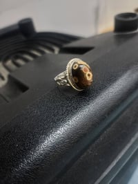 داودي • مقاس 40