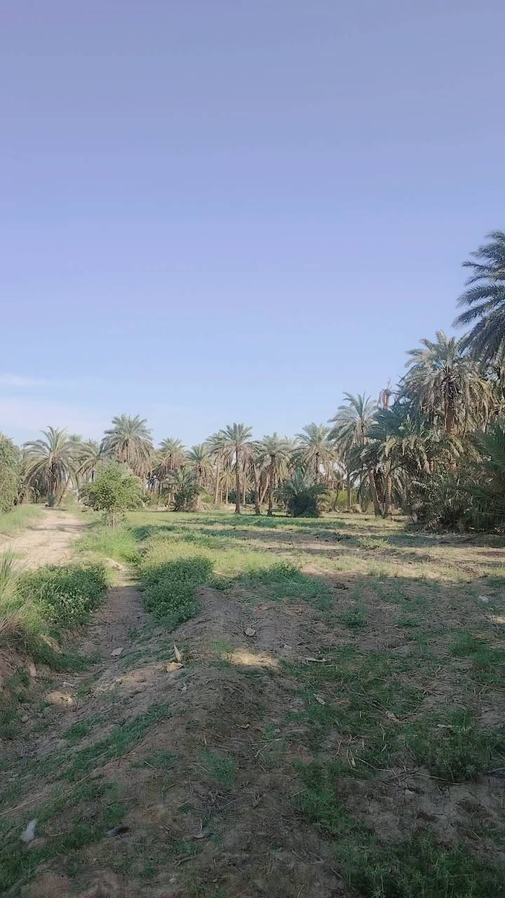 سلام عليكم بستان للبيع خمس دوانم طابو زراعي سند 25 متوفر كافت الخدمات ماء سقي كهرباء تبليط مدرسه موقع البستان القاسم شارع الطابو يبعد عن شارع رئيسي 500متر تفاصيل أكثر تصال ع رقم ***********

