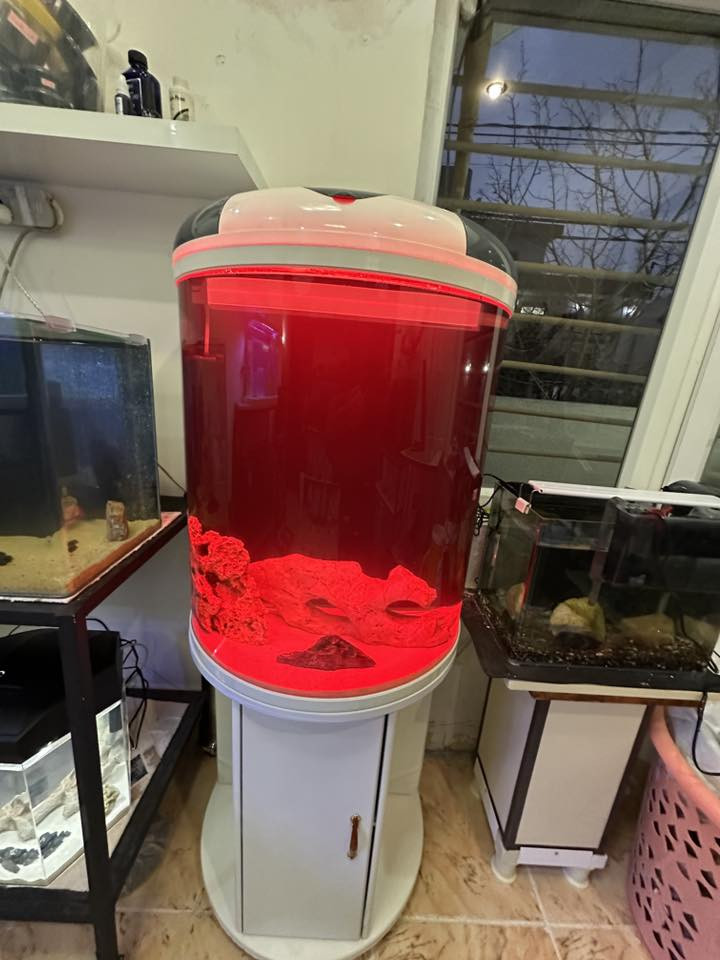 حەوزێك پێشی كامل خڕە و تایبەتە بۆ  جوانی  
ئاوگۆڕینی ناوێت فلتەری شەریكەی خۆی لەگەڵە 
لیدێكی مواسەفاتی شەریكەی  تێدایە چەندین ڕەنگی جیاوازی تێدایەو كز و زیاد ئەكرێت بە خواستی خۆت
مۆدی گۆڕینی ڕەنگەكانی تیایە بە شێوەی ئۆتۆماتیك
 چەند بەردێكی زۆر تایبەتی لەگەڵدایە
ژێری لمێكی زۆری تێدایە
پشتی  باگراوندی ڕەشی لێ دراوە
قیاسی حەوزەكە بەبێ مێز درێژی ٦٠ سم بەرزی ٧٦ سم تیرەی پانیەكەی بۆ پێشەكەی ٣٦ سم 
بەرزی حەوزەكە بە مێزەكەوە ١٤٥ سم
تێبینی : حەوزەكە بەكارهاتووە
_______
ئەوەی ویستی نامە بنێرێت لە واتس ئەپ یا ڤایبەر 
***********
گەیاندنمان تەنھا بۆ ناو سلێمانی ھەیە
