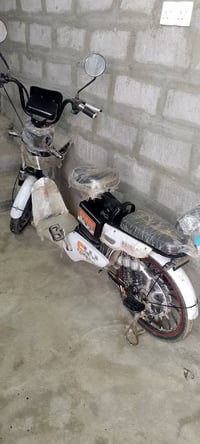 بايسكل شحن • حجم 20 • بدون بطارية