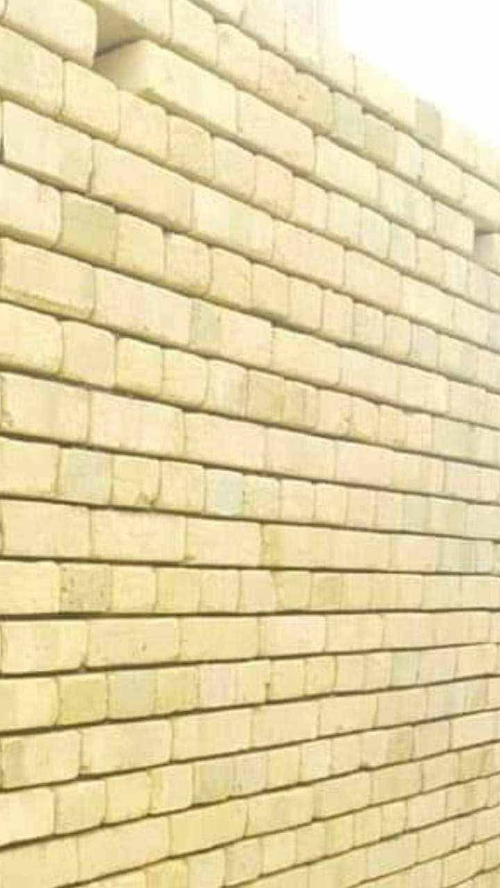 سيد علي ***********
