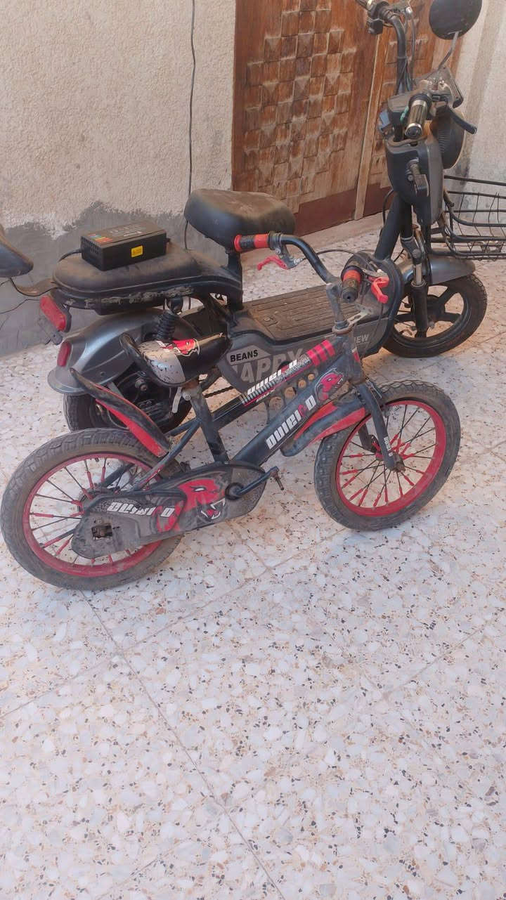 دراجة شحن+بايسكل للبيع 250


**إذا كنت صاحب هذا الإعلان وتريد حذفه لأي سبب، رجاءا أرسل رسالة إلى الدعم الفني**