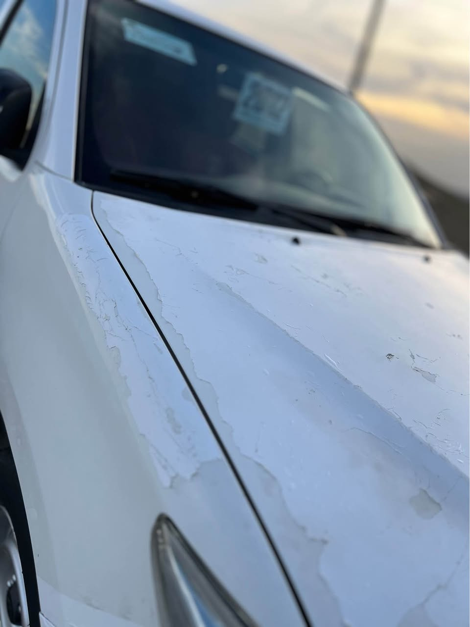 هایلوكس2012 ڕەش پۆشە لەسەر ساغی ڕەقەمو سەنەوی نوێیە غازو بەنزینە چوار تایەی تازە بۆ بەستراوە/***********📞 اكر, نينوى
