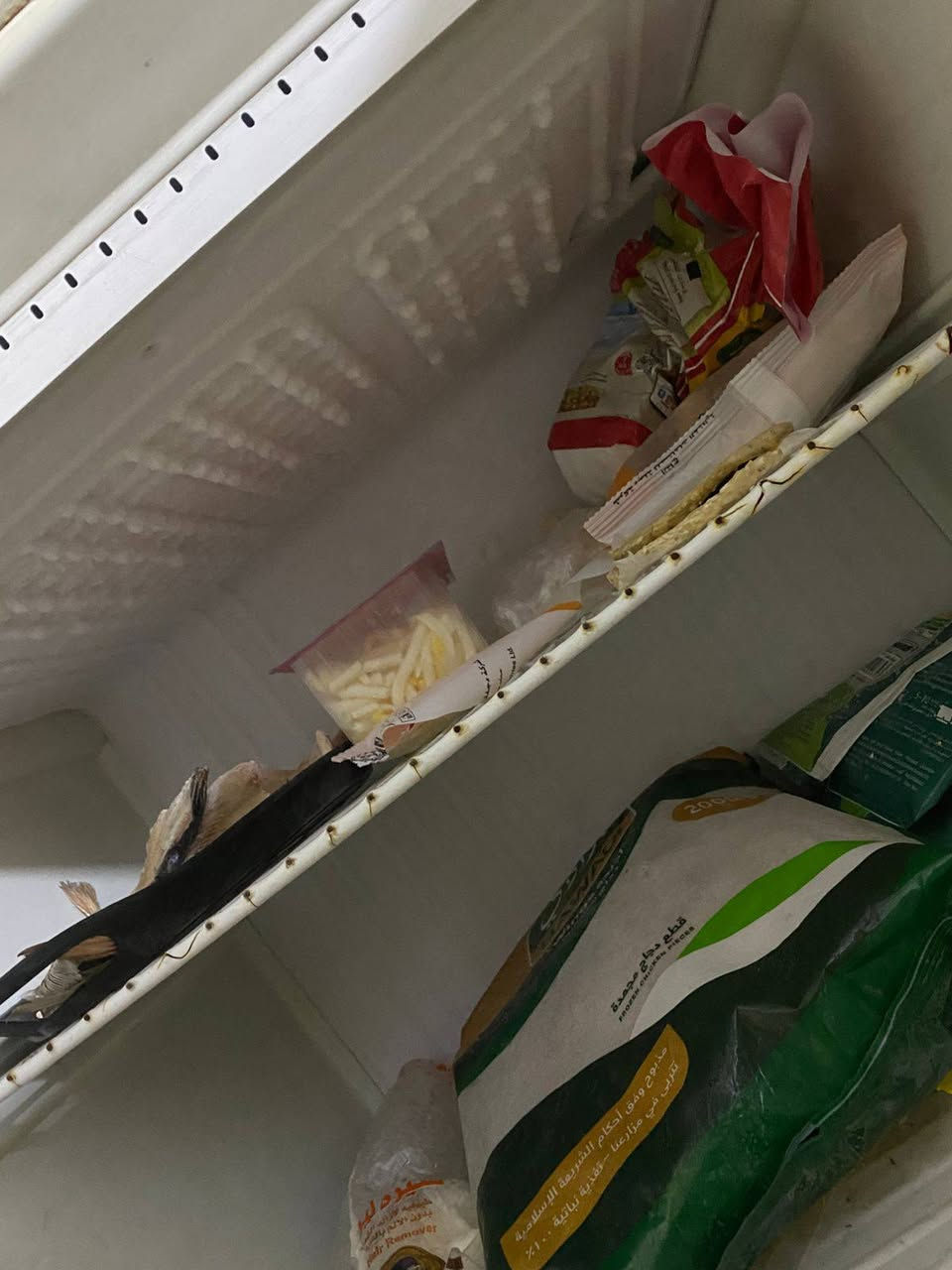 ١٢٥ وبيها مجال مكاني بغداد المدينه


**إذا كنت صاحب هذا الإعلان وتريد حذفه لأي سبب، رجاءا أرسل رسالة إلى الدعم الفني**