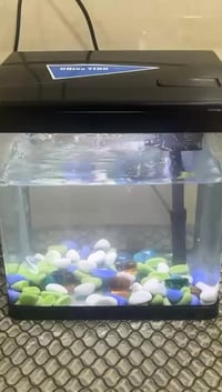 حوض سمك • فلتر وماطور شغال • بغداد صليخ