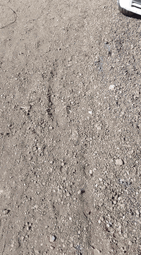 السلام عليكم و رحمة الله و بركاته... للبيع كيا حمل موديل 94 رقم بغداد انكليزي موجودة بكربلاء تفاصيل اكثر الاتصال *********** .....***********
