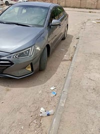 النترا • ٢٠١٩ • وارد امريكي