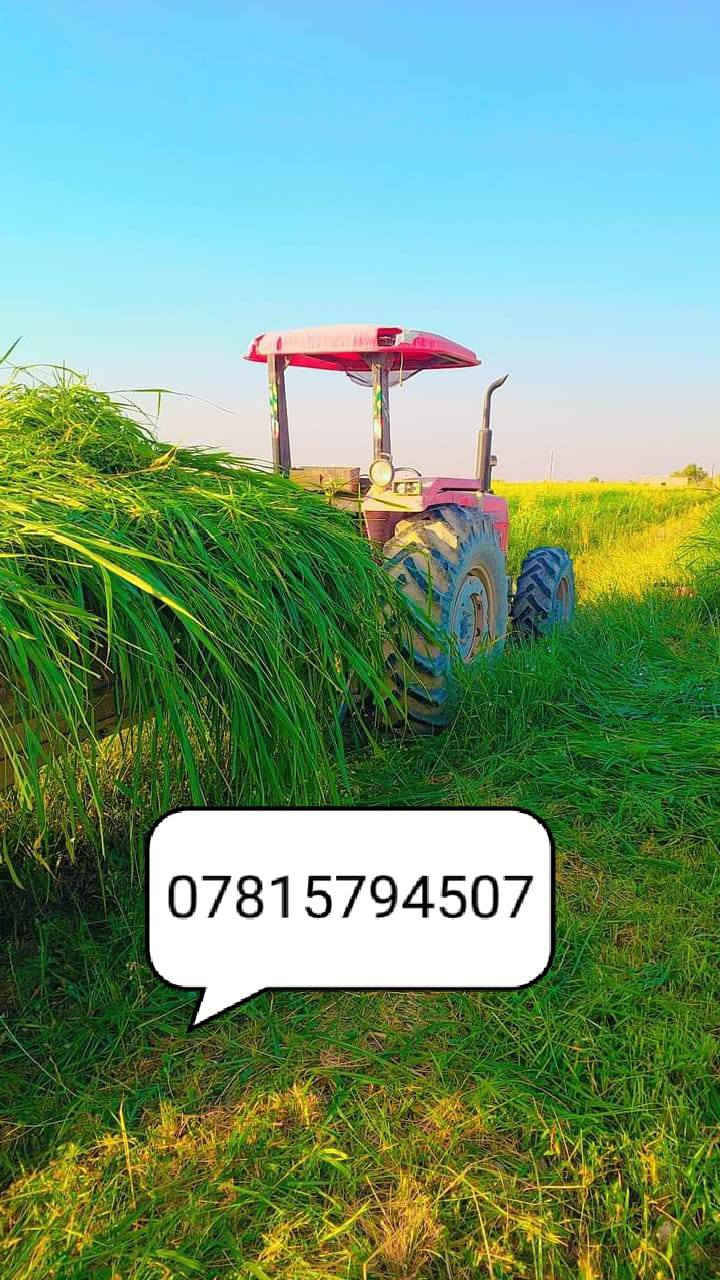 للبيع بذور بونيكام اسباني 🌾🌾
علف حيواني 🐑
1....نسبه البروتين (25٪) 

2... اكثر نبات مفيد للحيوانات يسمن ويكثر الحليب 🐐🐑

3... ناجح الزراعه في العراق ويتحمل الارض المالحه ويزرع في كل اوقات الصيف  🌿
4... يبقى في الارض من 5 سنوات الى 7سنوات
5... دائم الخضار يصل  من متر ونص الى مترين 
6... طريقه الزراعه ينطش طش يعني نثار 🌱

7... للدونم 8 كيلو بذور بونيكام 

8... سعر الكيلو( 10)الف سعره رخيص جداا نسبه الى انتاجه وفائته 

9... موعد زراعته من بدايه شهر 3 الى نهايه شهر12 

(للحجز عنوانك ورقم الهاتف والكميه لي رايدها )

(يوجد توصيل لجميع المحافظات العراقيه)

👇👇👇👇👇👇👇👇👇👇👇👇
رقم الهاتف مع واتساب

***********       مع واتساب
