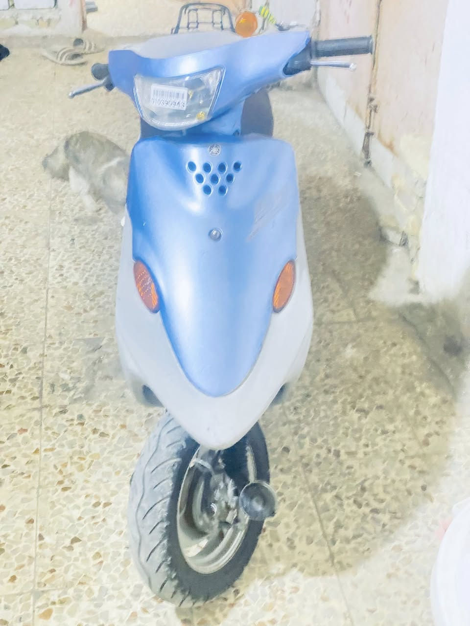 دراجه يوماه 9زروف بعده رنبه برغي ما مفتوح بيه بعده ع وضع شركه سعره 750


**إذا كنت صاحب هذا الإعلان وتريد حذفه لأي سبب، رجاءا أرسل رسالة إلى الدعم الفني**