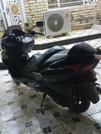 فورزا • كفالة عامه • أوراق أصلية