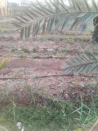 شاليه • ٢٥٠٠م • ابي الخصيب