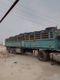 عربانة بلوم • ثلاث دناكير