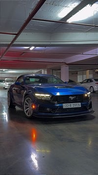 موستانج • ٢٠٢٤ • سقف مفتوح