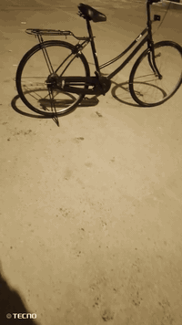 بايسكل للبيع غراضه موجده سعر ب 85 وبي مجال قليل للتواصل *********** عنوان بصره زبير حي ريسز
