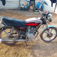 سافانة • أوراق صولية • بابل جبلة