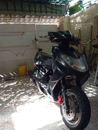 الموشراي لا يتعبني الموشراي لا يتعبني   سكنس فحل كابريتر  تجفيف جديد ب...