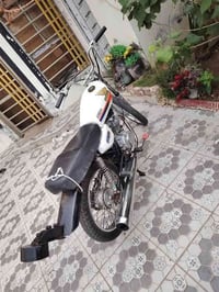 ارشا شاصي ١٨ ومكينة ١٩ جاملغ امامي موجود والخلفي موجود والكلوب الخلفي ...