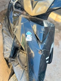 شاصي كامل • ثعلب • بغداد زعفرانيه