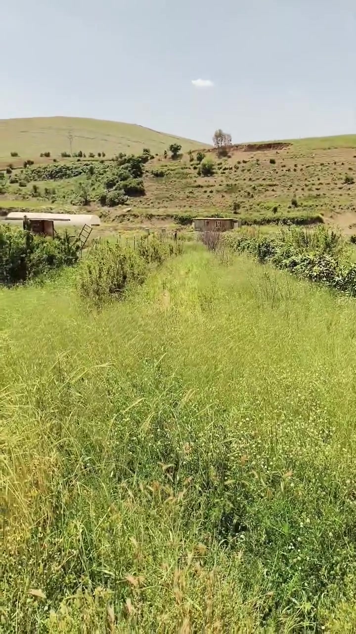 🏡 **فرصة استثمارية مميزة للبيع** 🏡
📍 **الموقع:** إطلالة مباشرة على الشارع العام (موقع حيوي واجهة 50 متر).
📐 **المساحة:** دونم وربع تقريباً (سند عقد).
🌳 **تفاصيل المزرعة:**
 * 💧 بئر ماء خاص + مضخة.
 * 🌿 شبكة بواري متكاملة لتأسيس السقي.
 * 🍇 مزروعة بأشجار مثمرة (توت/توكي ونباتات موسمية).
🏠 **تفاصيل البيت:**
 * 📐 مساحة البناء: 120 متر مربع.
 * ❄️ مجهز بسبالت عدد (2).
 * ☀️ منظومة كاميرات مراقبة تعمل بالطاقة الشمسية.
🎯 **المميزات:** الواجهة الكبيرة تجعل الموقع مثالياً لمشروع تجاري (مطعم، بنزين خانة، أو استراحة).
💰 **السعر:** 70 مليون دينار عراقي.
📞 **للتواصل والاستفسار:** ***********
