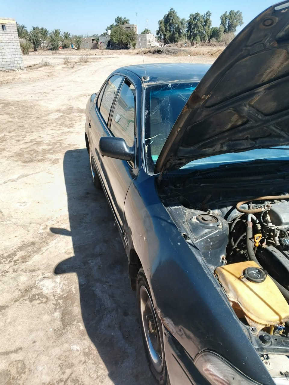 سلام عليكم سياره كورله للبيع موديل 93 سنويه ساقطه مكينه بدايه بيها وكاله عامه تريد راعيها شرعي مكان ناصريه عله طريق سيد دخيل القديم منطقه البشهاب سعر 38 مكلف بل نشر هاذ رقم راعيها ***********
