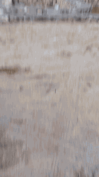 الجربوعية الثالثة • الحيدرية • ٢٠٠م