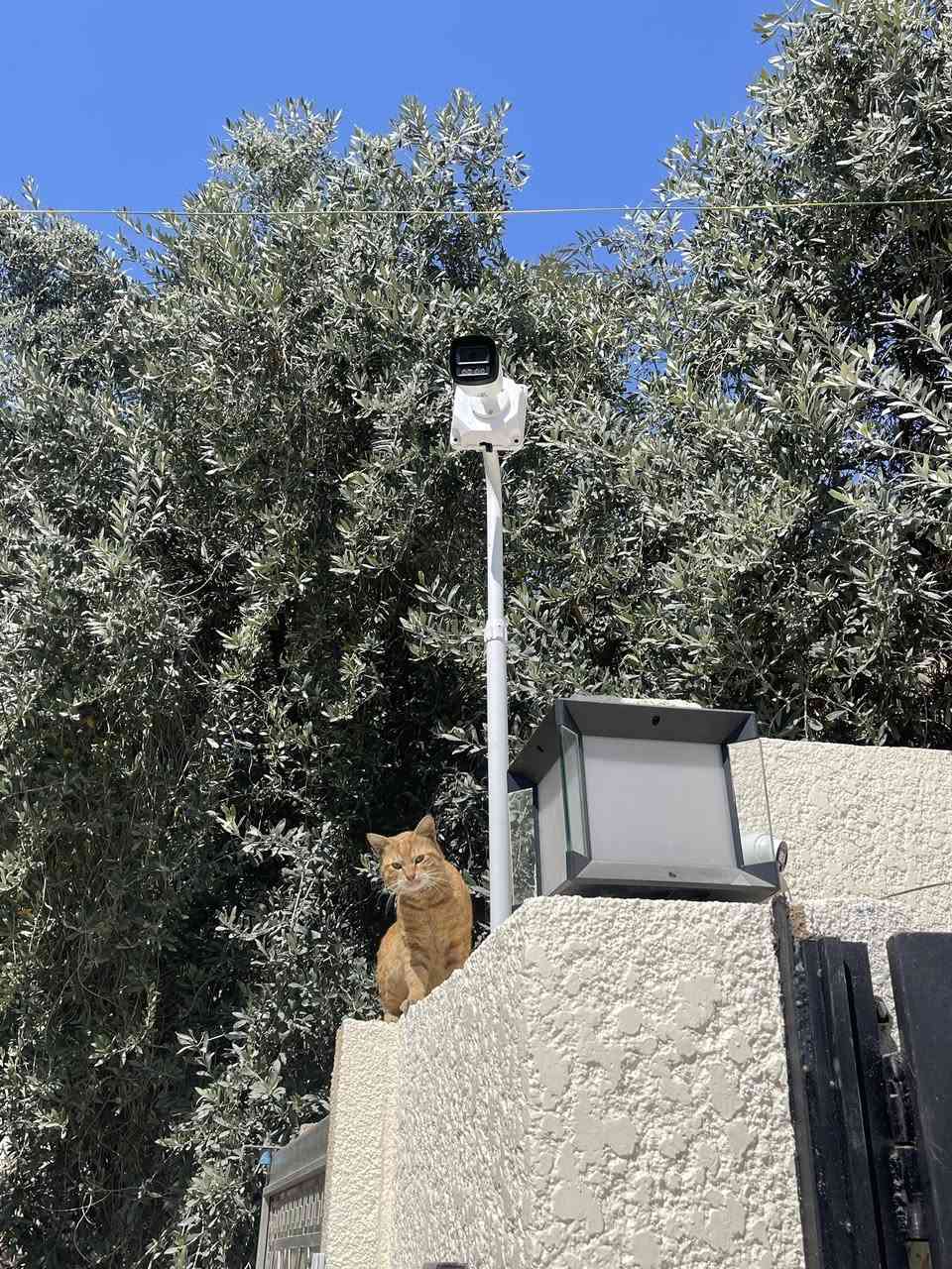 اعمالنا في بغداد الكريعات
اعلى العروض وافضلها مع خاصة الذكاء الاصطناعي 

خاصة الذكاء الاصطناعي هي:-
1️⃣ - تصوير اي شخص يصلك قرب المكان بصورة خاصة صوت 
     وصورة ولقطة فديو ١٠ ثواني .
2️⃣-ممكن تحديد الأشخاص المخولين من قبل النظام بعد 
       ادخال بيانات من قبل المستخدم.
3️⃣-تفعيل إرسال صور الأشخاص على الهاتف.
4️⃣- حفظ صورة آخر شخص كان بالموقع قبل فقدان او 
         سرقة جهاز وإرسالها على الهاتف

منظومة دهوا تجميع باعلى المواصفات 
دقة 5 ميكا فول كلر صوت وصورة 

📌المواصفات

🔺كاميرا زوم خاصة لأرقام السيارات

🔺اربع كاميرات دقة 5 ميكا فول كلر صوت وصورة دهوا اصلي
     لد ( تصوير ليلي نهاري ملون حتى بدون انارة)

 🔻ديفيار 8 جنل دقة 5 ميكا نوع دهوا يشغل كل انواع 
      الكاميرات ويدعم تسجيل الصوت مع تصوير الوجوه 
     والتعرف عليها بالذكاء الاصطناعي 

🔻هارد خزن اصلي 

🔺كيبل رولة 100م مسلح ونحاس ومقاوم كافة الظروف الجوية 

🔺جهاز يو بي اس نوع ليثيوم اصلي يشغل منظومة الكاميرات 
     مع منظومة الانترنت ٣ ساعات حقيقي ويعتبر جهاز حماية 
     ومنظم فولتية وتلغي كافة المحولات

🔻بوكسات عدد 4 خاصة بالكاميرات لحماية الفيش من 
     الرطوبة والعبث وتعطي شكل لائق للكاميرات

🔻فيش كامله خاصة بالكاميرات

🔺كيبل اج دي مسلح

🔻ممكن ربط المنظومة على الانترنت وتراقيب وانت باي 
     مكان بالعالم

🔺ضمان سنه حقيقي

🔴لمزيد من المعلومات مراسلتنا على الخاص او الاتصال على الرقم
***********
***********مهندس محمد
