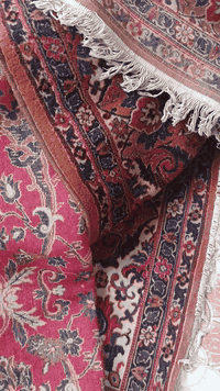 كلهن زوالي ب١٠٠ عدد٥لو٦ ماعرف 
اليوم ياخذهن الي يريدهن***********
