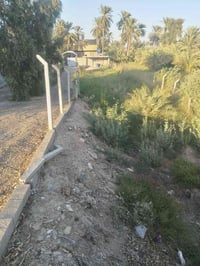 نصف دونم • بنيان جديد ٢٠٢٣ • ميسان