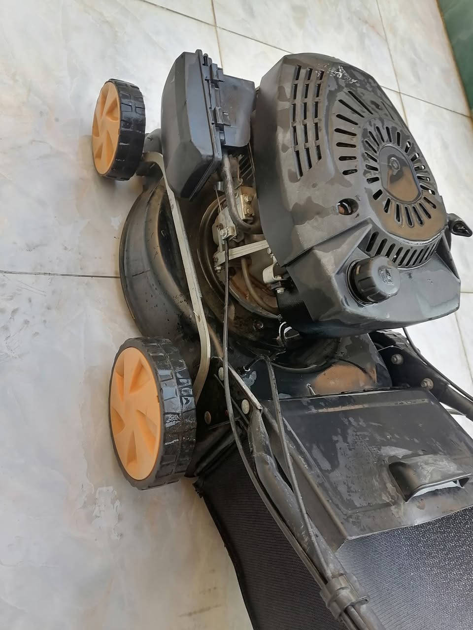 السلام عليكم، حاشوشه جديده للبيع مابيها شي
للتواصل : ***********
