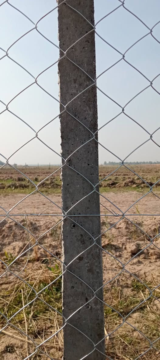 🟣تعلن شركة بابل لاسيجة البيارسي ⁦🟣
🔻عن عمل ونصب جميع انواع اسيجة الBRC ⁦⛏️⁩
🔻وعن عمل جميع انواع الاسيجة العشبية الجميلة 🍀🍀
🔻سعر المتر من 6الف 💸الى 10الف 💸حسب الطلب وحسب نوع السيم ⁦⚒️⁩
🔻يوجد كادر مختص بالعمل 💪
🔻نعمل في كافة محافظات العراق 🚛⁦🚛
🔻للطلب او الاستفسار قم بمراسلة الصفحه او اتصل على الأرقام ***********وتساب
