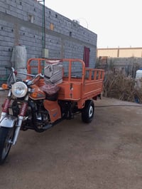 ستوتة • موديل ٢٠ • جاهزة