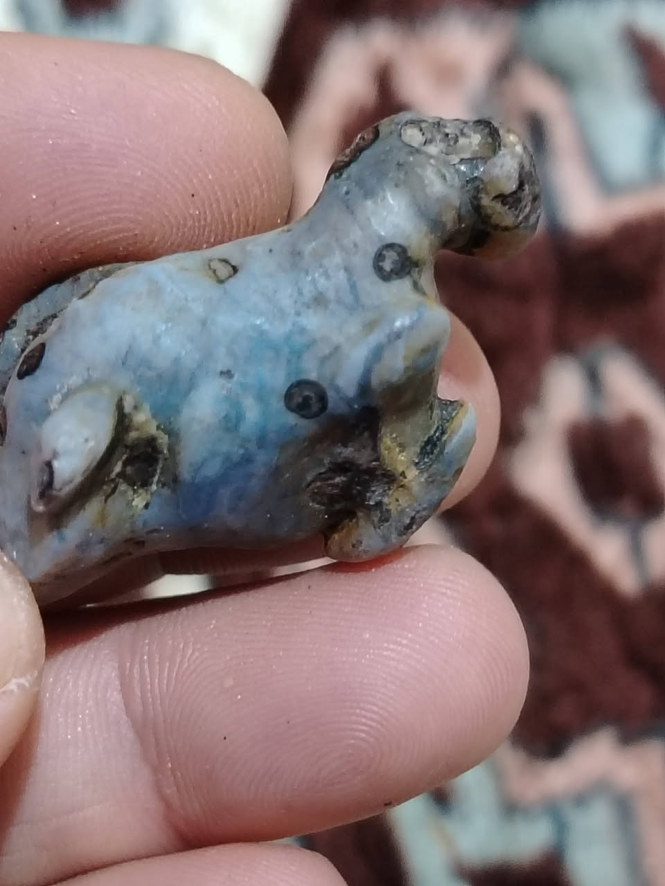 داوودية مصورة فرس 
داخلها عروق واضحة 
25 الف


**إذا كنت صاحب هذا الإعلان وتريد حذفه لأي سبب، رجاءا أرسل رسالة إلى الدعم الفني**