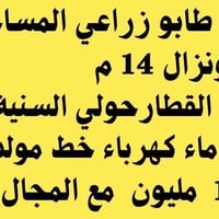 حولي السنية السياحي • ١٠٠م • للبيع