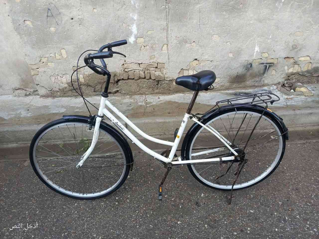 سلام عليكم  باسكل ياباني للبيع حجم 27 فول نضافه  بس  يحتاج تعديل ويل  السعر  40 و بي مجال مكاني بلدروز هاذه رقمي  ***********
