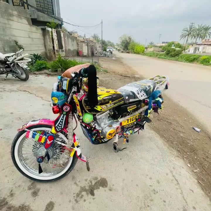 كامله عل آخر حبايه مكفول كفاله عامه
اوراق كامله تايكر24

بكاني خالص سنديه  سعر 950
***********1
