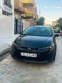 كورلا ٢٠٢٢ • موصل الزهور • رقم اربيل