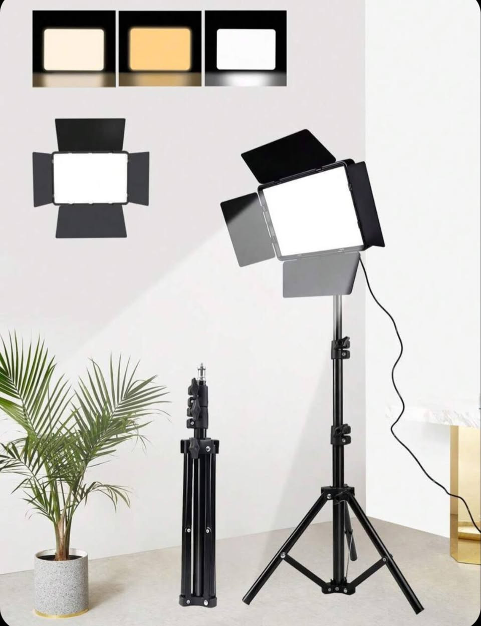 استان اناره تصوير ثلاث مودات السعر 15 الف


**إذا كنت صاحب هذا الإعلان وتريد حذفه لأي سبب، رجاءا أرسل رسالة إلى الدعم الفني**