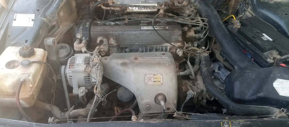 السلام عليكم افيات موديل 92 كير ومحرك فرخ بطه مال كصه كهربائيات كله شغاله رونات كله شغاله شرط التحويل السعر 12 وبيه مجال 
***********
***********
