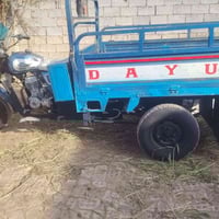 ستوتة • موديل 2021 • كوت البتار