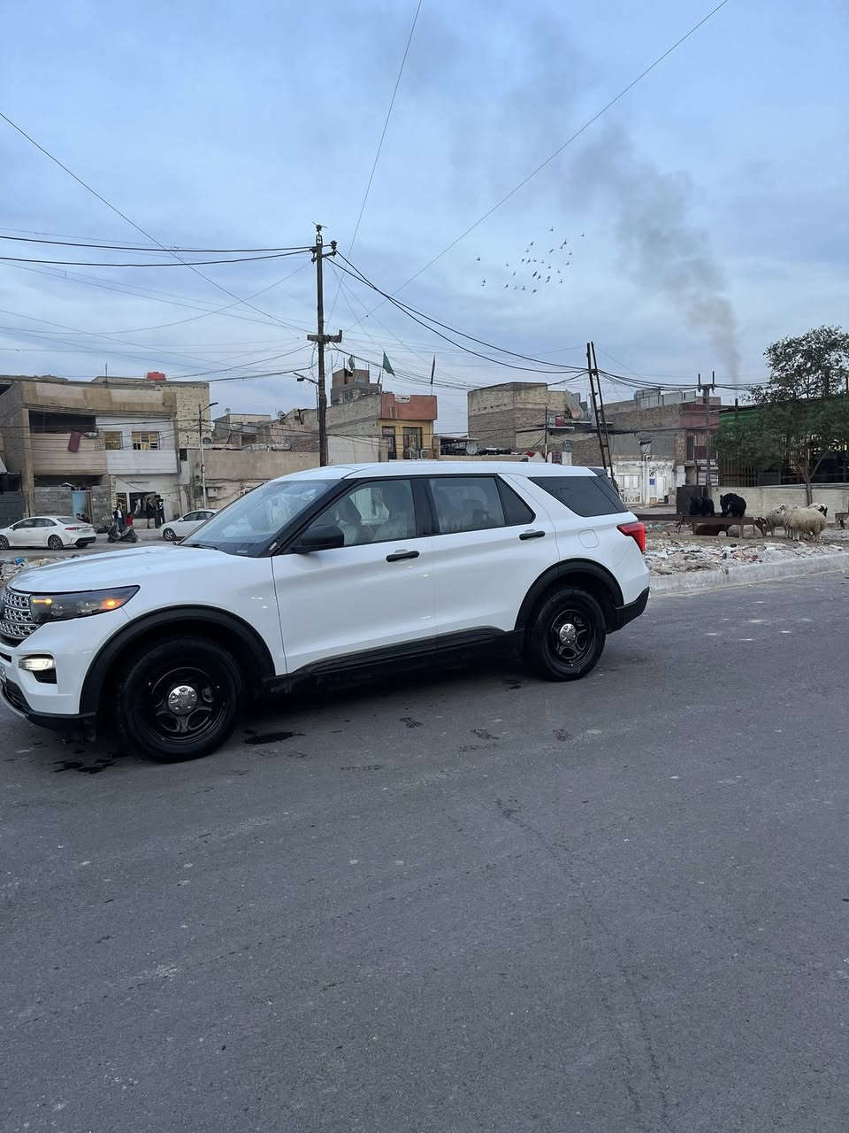 سلام عليكم. 
اخوان الي يدور اكسبلور بوليسي ابيضّ مكينه 6 سلندر تنفس طبيعي كفاله بدون صبغ وجديد وجاهزه ع وضع الابلاد يتصل ويدلل مديل 2022 مرقم أربيل وجاهز تحويل أو وكاله مجاني شرط.  مكينه كير تبريد كله جاهز بشرط مكفول مكانها بغداد جميله سياره جديده بوضع الابلاد طك فلين أي استفسار *********** اتصل وبخدمتك. 
سعرها 198 وبيها مجال بسيط حك الجيه
