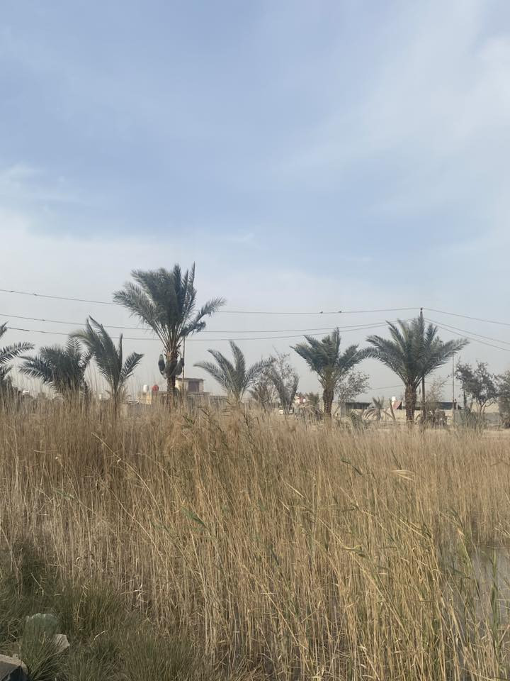 السلام عليكم مزرعه للبيع طريق ياعلي عمود 185 تبعد عن شارع 1500 م شارع تبليط  6 دونم مع البيت والبحيرات متوفره بيها بير ماء ومنظومة مرشات حديثة 
تنباع مزرعه مع البيت مخدومه من كلشي 
ومكان مرتب 
اخوان سعر الدونم 15 من عده دونم الي موجوده بي البيت سعره 20 
للتواصل ***********
