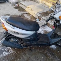ماكس • قجمة • كاملة