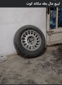 بطة • كوت
