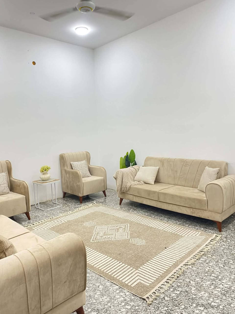 تخم نضيف شخط ما بي سعر 375 وبي مجال مكان ناصريه


**إذا كنت صاحب هذا الإعلان وتريد حذفه لأي سبب، رجاءا أرسل رسالة إلى الدعم الفني**