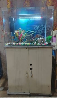 حوض اسماك مع كامل ملحقاته للبيع مع الميز للإستفسار واتساب 07735721847